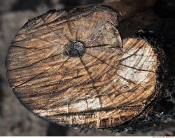 Photo Textures of Wood